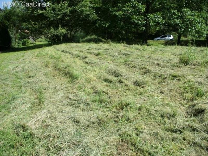 Lautenbach Lautenbach zum kaufen (Grundst&uuml;ck) Grundstück kaufen