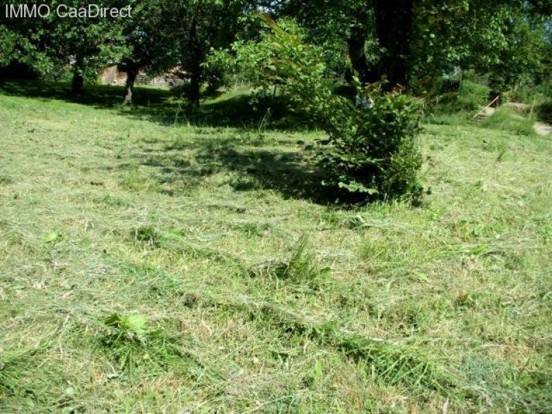 Lautenbach Lautenbach zum kaufen (Grundst&uuml;ck) Grundstück kaufen