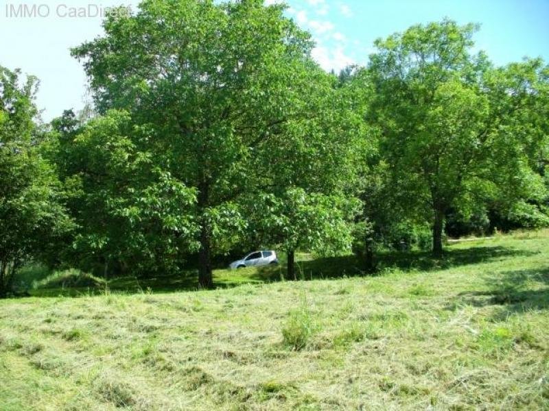 Lautenbach Lautenbach zum kaufen (Grundst&uuml;ck) Grundstück kaufen