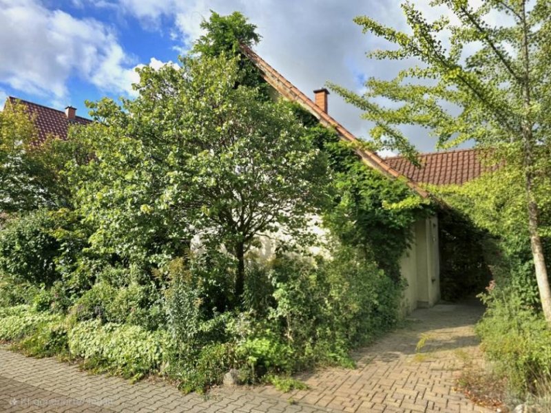 Lampertheim Großzügiges Einfamilienhaus in ruhiger Toplage von Lampertheim Haus kaufen