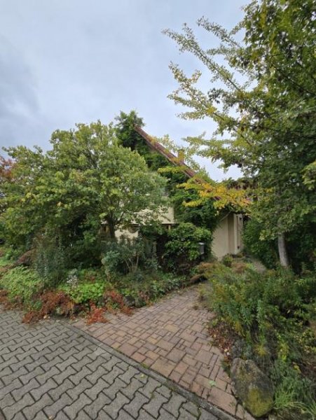 Lampertheim Großzügiges Einfamilienhaus in ruhiger Toplage von Lampertheim Haus kaufen