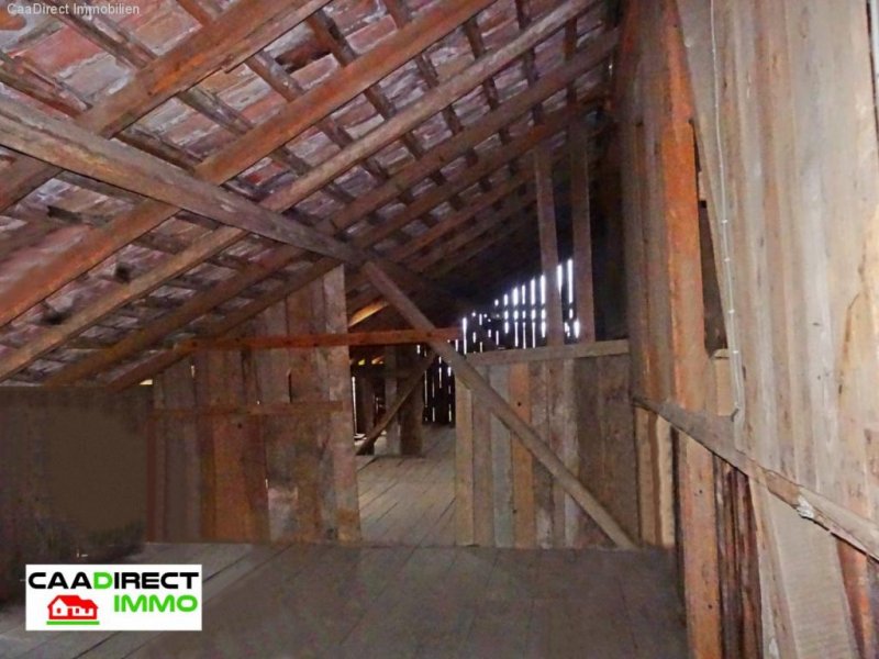 Steinsoultz Bauernhaus zu modernisieren im Dorfkern mit Nebengebäude im Elsass - 20 km v/Basel und Weil am Rhein Haus kaufen