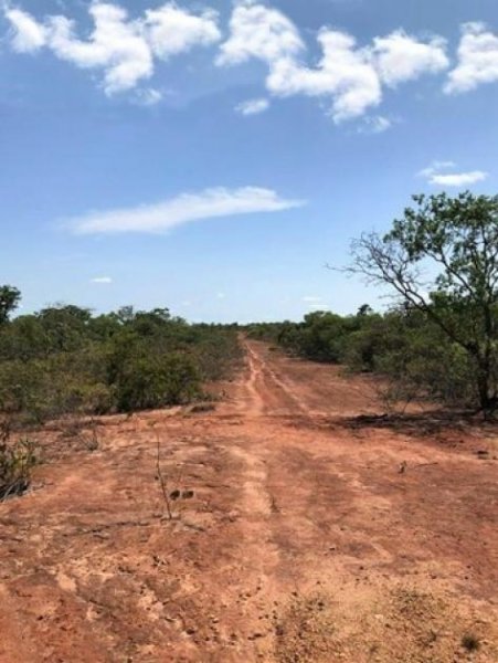 Novo Aripuana Brasilien 3'200 Ha grosses Grundstück (Goldvorkommen in der Region) Grundstück kaufen