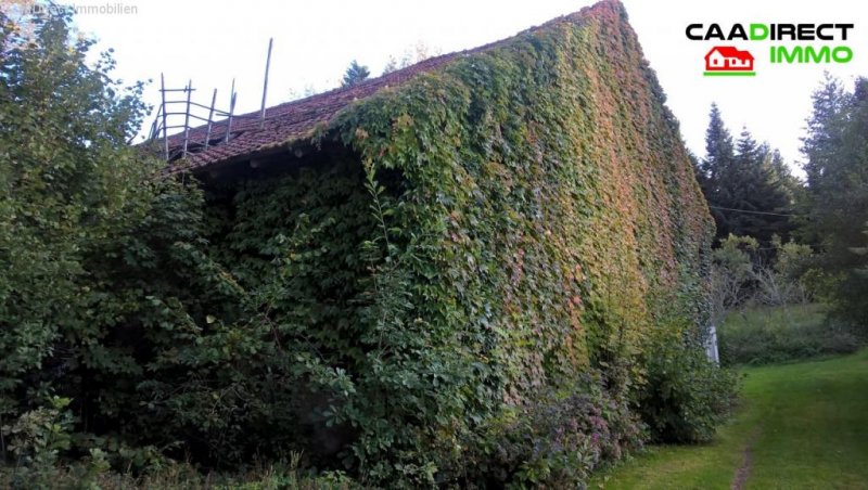 Melisey (bei) Authentisches Anwesen in grüner Oase in den Vogesen - 90 Min. von Basel u. Weil am Rhein Haus kaufen