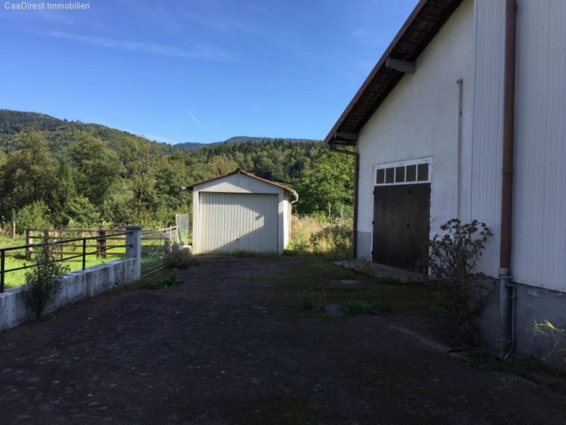 Melisey (bei) Grosszügiges Doppelhaus im Dorfkern mit Grundstück in den Vogesen - 90 Minuten von Basel und Weil Haus kaufen