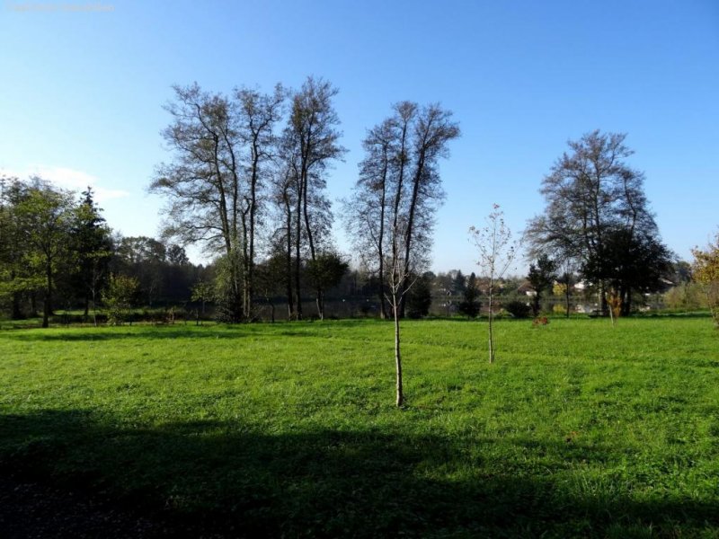 Melisey (bei) Landhaus mit Charme und Chic Haus kaufen