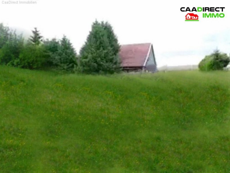 1000 Etangs Autentisch erhaltene Farm in Absoluter Alleinlage - 90 Min. von Basel u. Weil am Rhein Haus kaufen