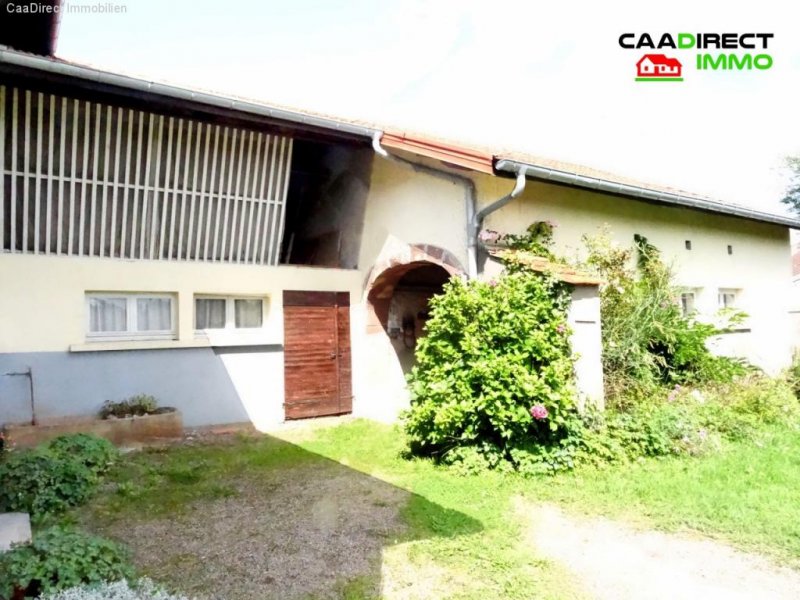 1000 Etangs Farm mit 4000 m² Grundstück - 90 km von Basel Haus kaufen