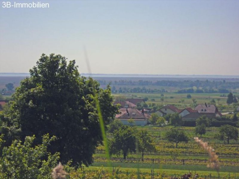 Donnerskirchen unverbaubarer SEEBLICK Grundstück kaufen