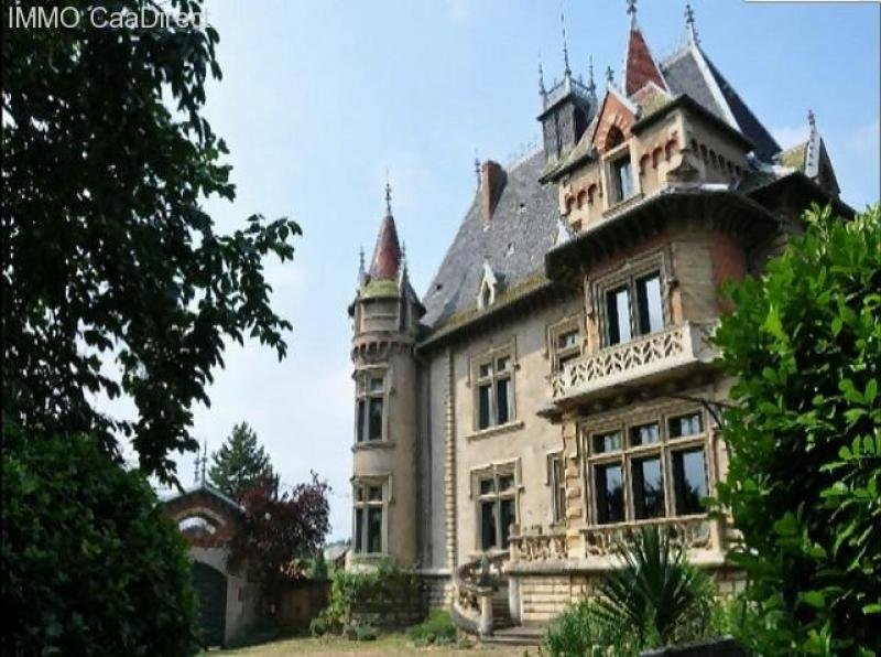 Mâcon (bei) zauberhaftes, sehr stilvolles Schloss mit viel Flair, mitten in Weingütern - 70 km von Lyon 130 km von Genf Haus kaufen
