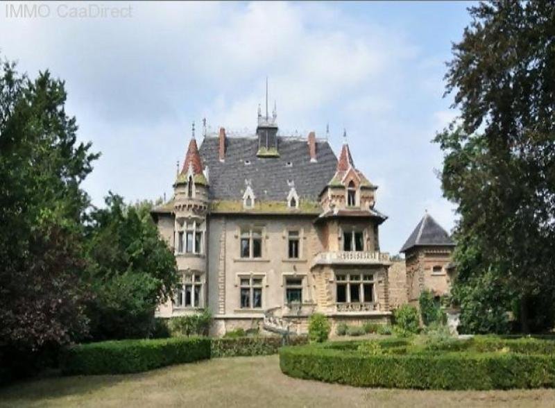 Mâcon (bei) zauberhaftes, sehr stilvolles Schloss mit viel Flair, mitten in Weingütern - 70 km von Lyon 130 km von Genf Haus kaufen