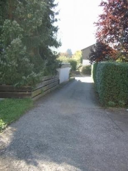 Steinenbronn Projektiertes Architektenhaus in Ortsrandlage Haus kaufen