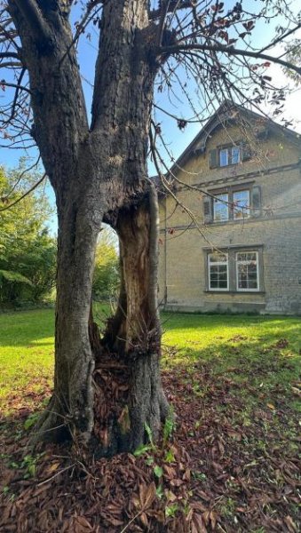 Weil der Stadt Bahnhof Schafhausen - was machen Sie daraus? Haus kaufen