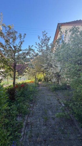 Weil der Stadt Panoramalage in Weil der Stadt Münklingen Haus kaufen