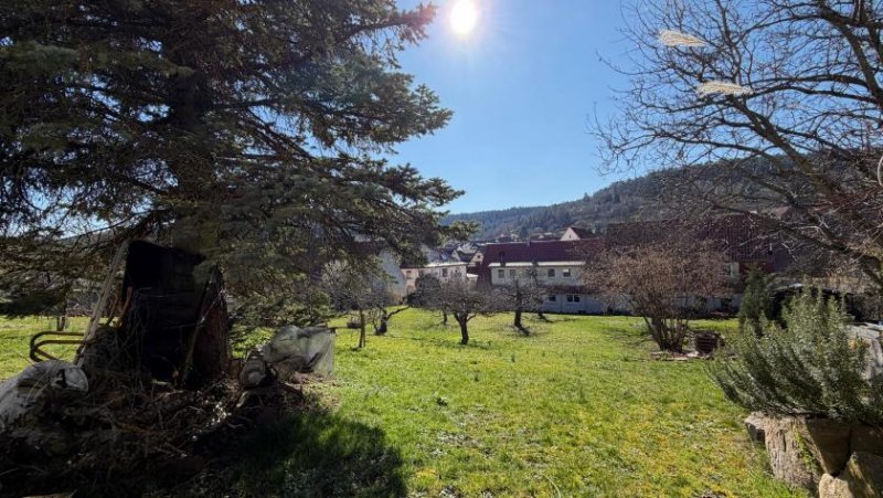 Weil der Stadt Panoramalage in Weil der Stadt Münklingen Haus kaufen