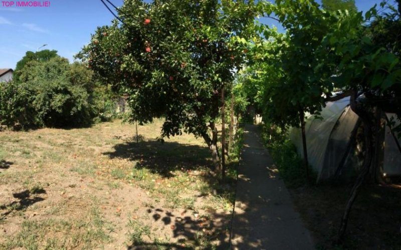 Wallern im Burgenland PREISREDUZIERUNG! Einfamilienhaus mit Nebengebäude u. zwei Zufahrten! Haus kaufen