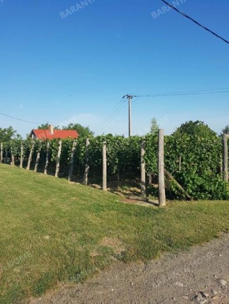 Hőgyész Panorama-, komplett renoviertes Presshaus mit Weinkeller zum Verkauf in Hőgyész-Csicóhegy Haus kaufen