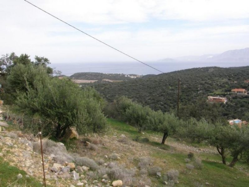 Agios Nikolaos, Lasithi, Kreta Baugrundstück in einem ruhigen Dorf, in der Nähe von Agios Nikolaos. Kreta Grundstück kaufen