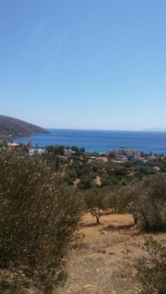 Agios Nikolaos, Lasithi, Kreta Grundstück mit Meerblick, 1367 m2, am Stadtrand von Agios Nikolaos Grundstück kaufen