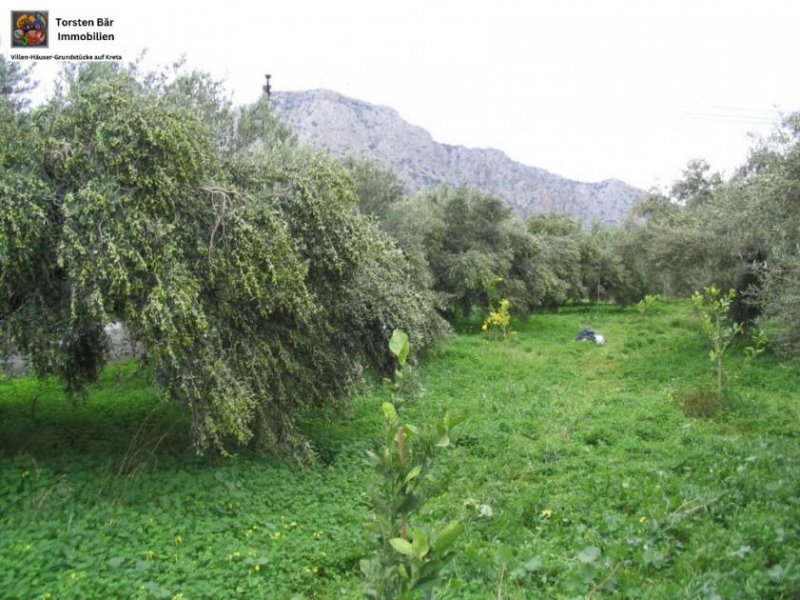 Kato Chorio Kreta Wohn- und Geschäftshaus mit Meerblick in Kato Chorio, Ierapetra, Kreta Haus kaufen