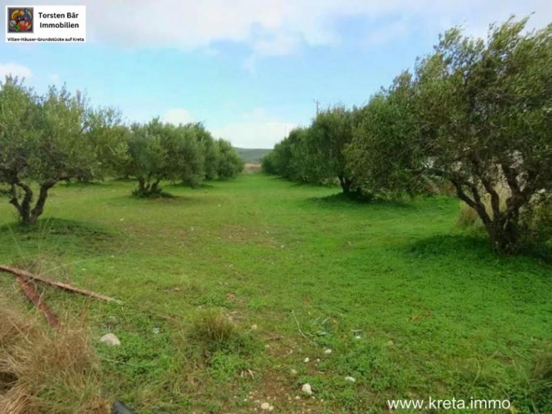 Chandras Kreta, Chantras - bebaubares Grundstück 1.500qm Grundstück kaufen