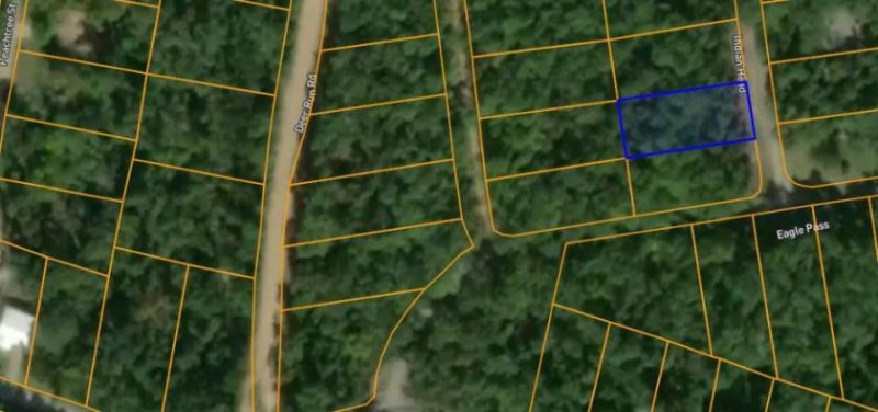 Williford 450-00072 Land in Amerika grosses ECK - Grundstück 0.23 acres- 980.00m2 direkt von Eigentümer in Seenähe und Stadtnähe