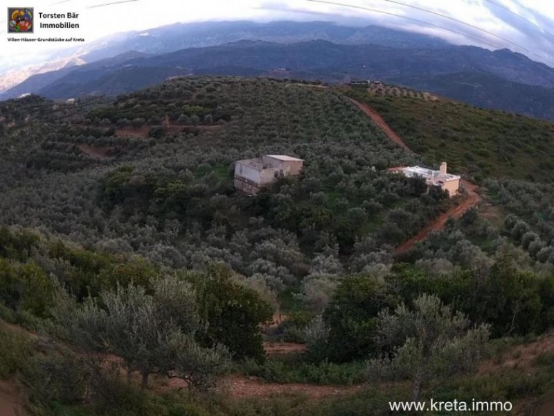 Platanias Kreta, Planias - Grundstück 110.000m² mit ca. 2.400 Olivenbäumen und kleinem Haus Grundstück kaufen