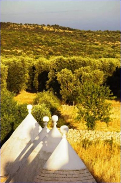 Crispiano ***Großes Landhaus mit 50 Hektar Landfläche in Apulien, sucht neuen Eigentümer*** Haus kaufen