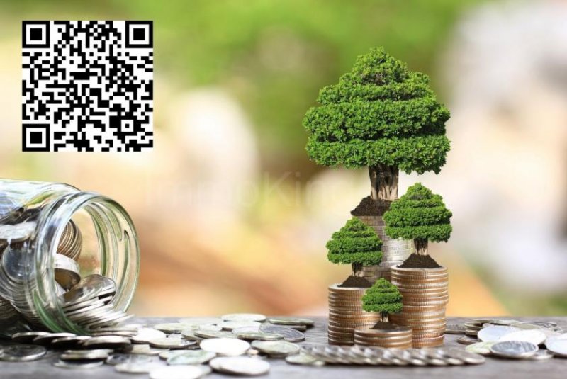 Heilbronn ++ KERNSANIERTES MEHRFAMILIENHAUS IN TOP LAGE! ++ INKL. 4 GARAGEN! ++ Haus kaufen