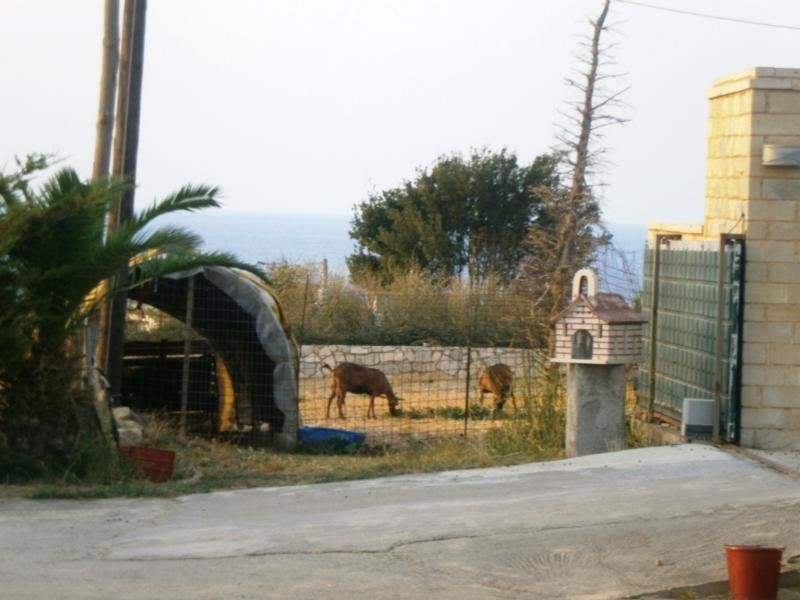 Giorgioupoli - Chania Luxuvilla in Giorgioupoli Chania mit 360 qm Haus kaufen