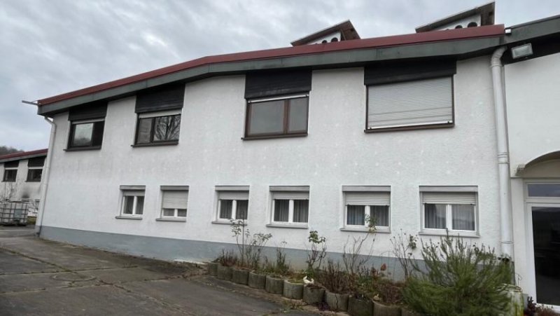 Hessigheim 4 Häuser (9 Wohnungen) zu einem Preis! Ideal für Handwerker! Mit Garagen u. weiteren Lagerflächen Gewerbe kaufen