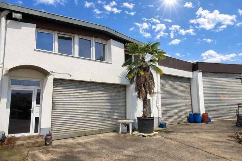 Hessigheim 4 Häuser (9 Wohnungen) zu einem Preis! Ideal für Handwerker! Mit Garagen u. weiteren Lagerflächen Gewerbe kaufen