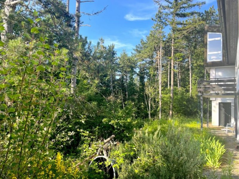 Mosbach Naturnah: Traumhaus in Aussichtslage Haus kaufen