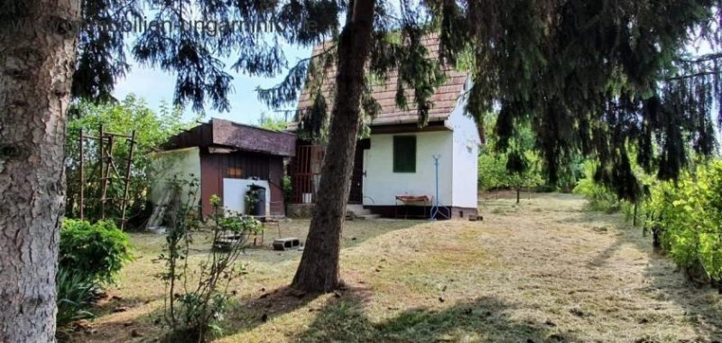 Somogy Megye Bewohnbares Keller-/Pressenhaus südlich des Plattensees zu verkaufen Haus kaufen