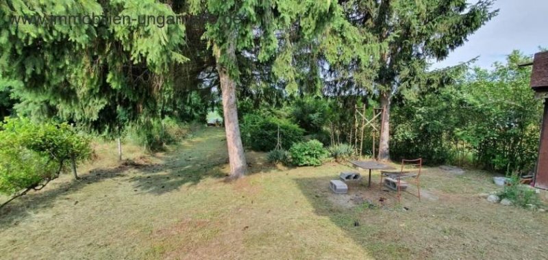 Somogy Megye Bewohnbares Keller-/Pressenhaus südlich des Plattensees zu verkaufen Haus kaufen