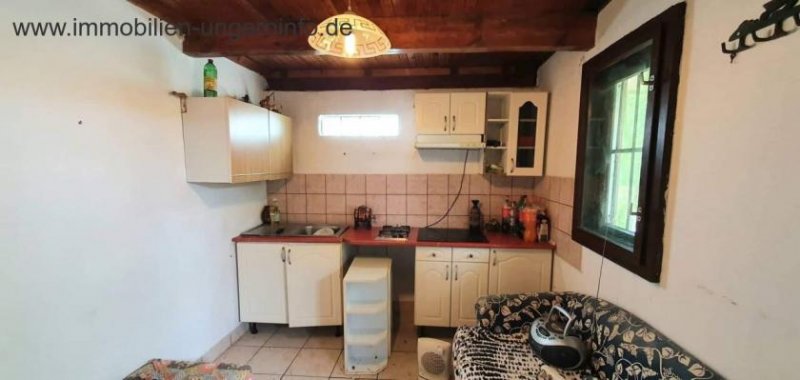 Somogy Megye Bewohnbares Keller-/Pressenhaus südlich des Plattensees zu verkaufen Haus kaufen