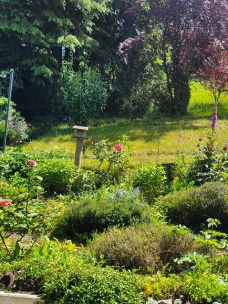 Bad Wildbad Schönes Landhaus mit Einliegerwohnung Haus kaufen
