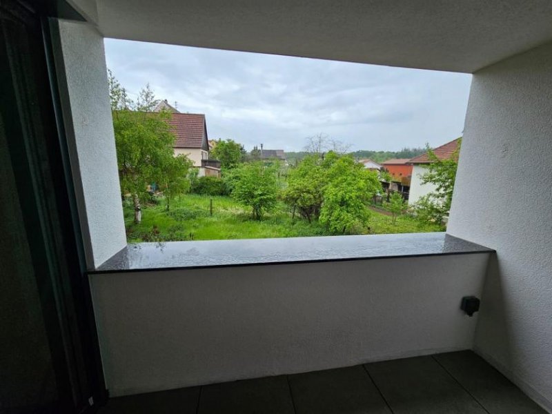 Bad Liebenzell Phantastische 2 Zimmerwohnung in Bad Liebenzell Wohnung kaufen