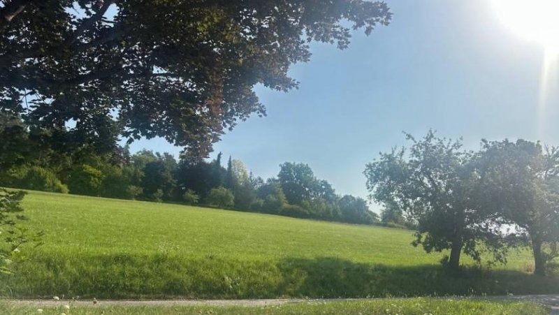 Ostelsheim Weitblicklage in Ostelsheim Haus kaufen