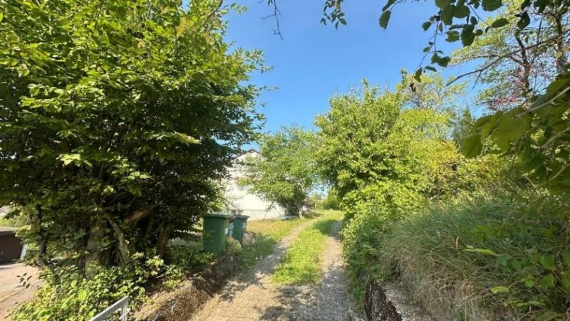 Ostelsheim Weitblicklage in Ostelsheim Haus kaufen