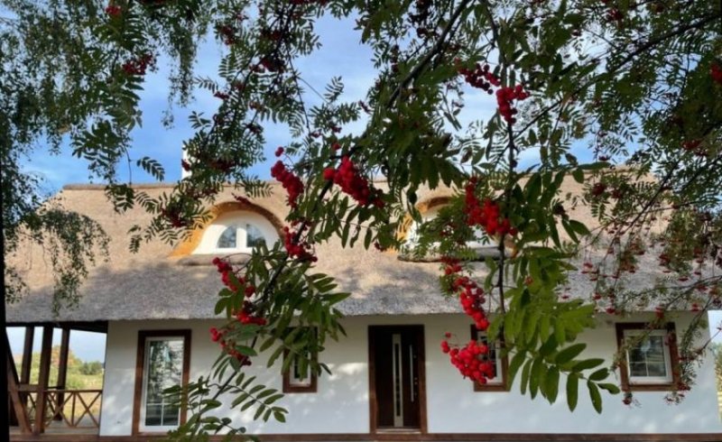 Gardna Wielka Reetdachhaus am Gardersee in Pommern/Polen zu verkaufen Haus kaufen
