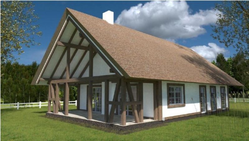  Gardna Wielka Wohnen unter Reetdach im Gardna Park - Pommern/Polen Haus kaufen