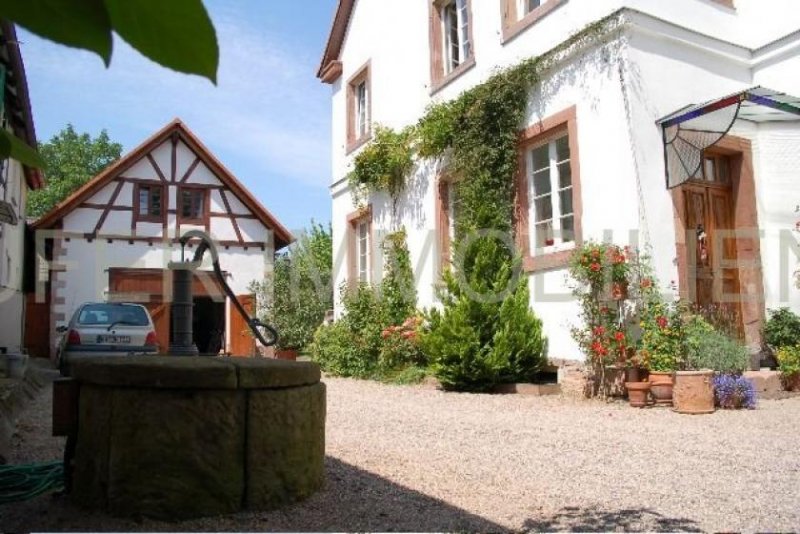 Iffezheim Zauberhaftes Anwesen auch zur Ferienvermietung im Elsass - 4 Wohnungen - Schwimmteich - 450² Wohnfläche Gewerbe kaufen