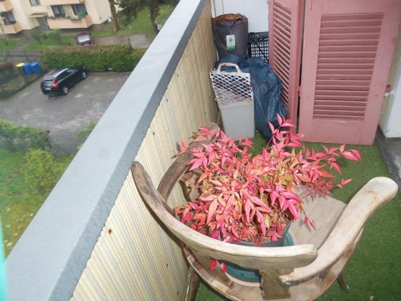 Baden-Baden Neuer Preis! Schnäppchen, Große 2 Zimmer Whg auf 54qm mit Balkon und Garten Wohnung kaufen