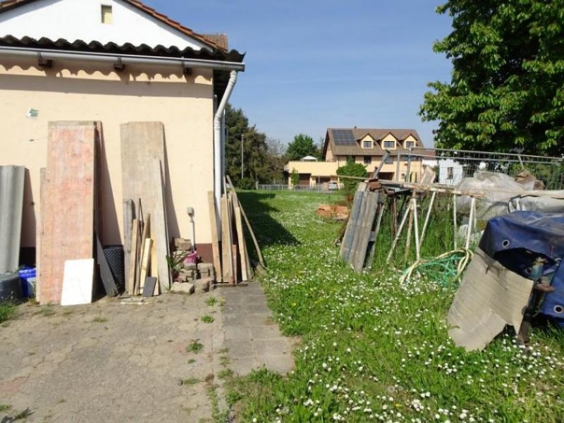 Rülzheim ObjNr:18697 - Gepflegtes, großes 2 Familienhaus in Rülzheim Haus kaufen