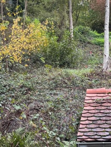 Leinsweiler Am Rand des Pfälzer Waldes - Rheinebene vor sich - Auf den Spuren von Max Slevogt - 1 B Lage Grundstück kaufen