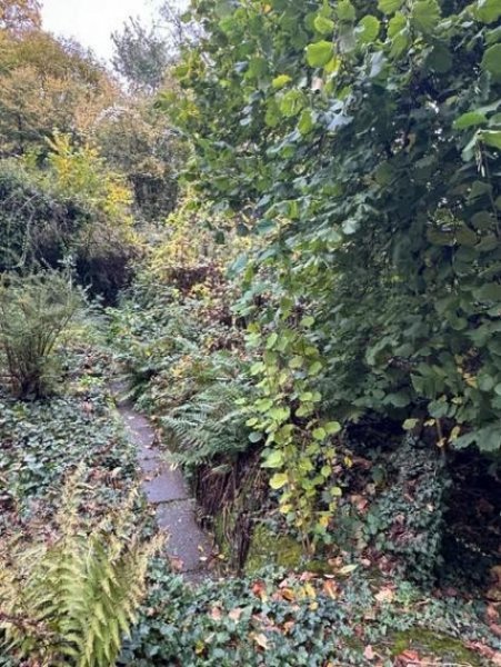 Leinsweiler Am Rand des Pfälzer Waldes - Rheinebene vor sich - Auf den Spuren von Max Slevogt - 1 B Lage Grundstück kaufen