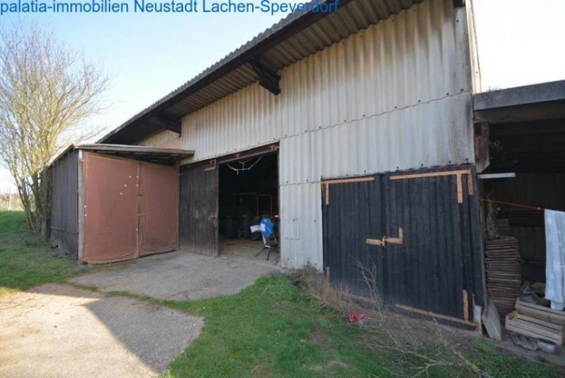 Bornheim Haus mit zwei Wohneinheiten und 7000m² Grundstück Bornheim Haus kaufen