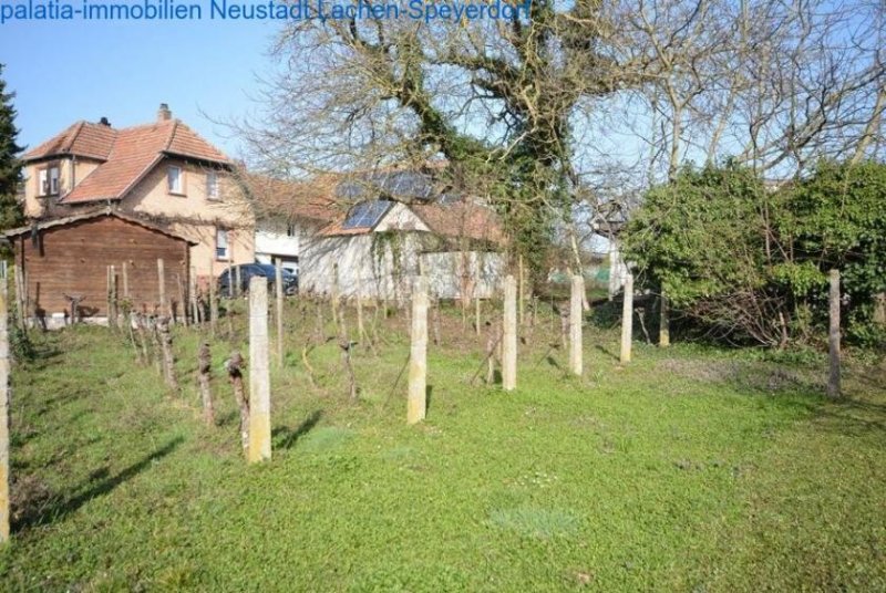 Bornheim Haus mit zwei Wohneinheiten und 7000m² Grundstück Bornheim Haus kaufen