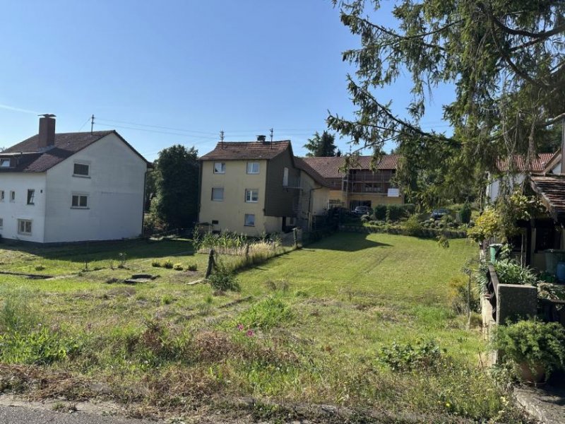 Schweigen-Rechtenbach Baulücke-bebaubar mit freistehendem Wohnhaus Grundstück kaufen